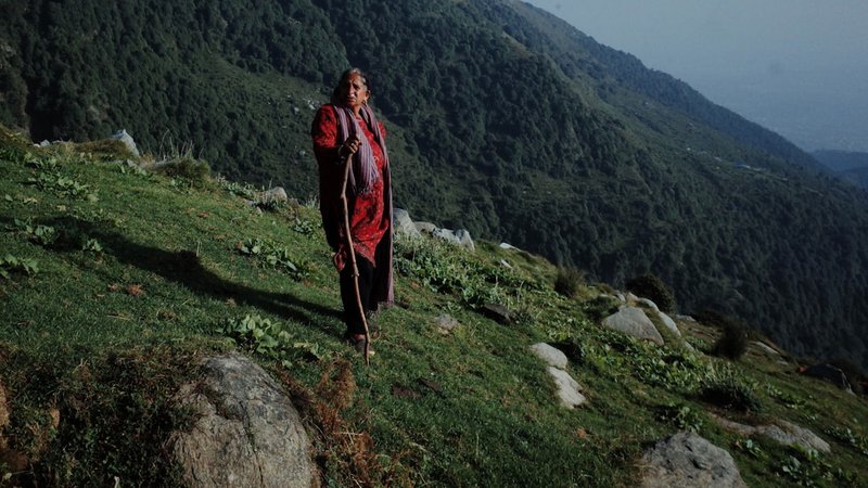 Noaidi Narratives Sami Spiritual Traditions